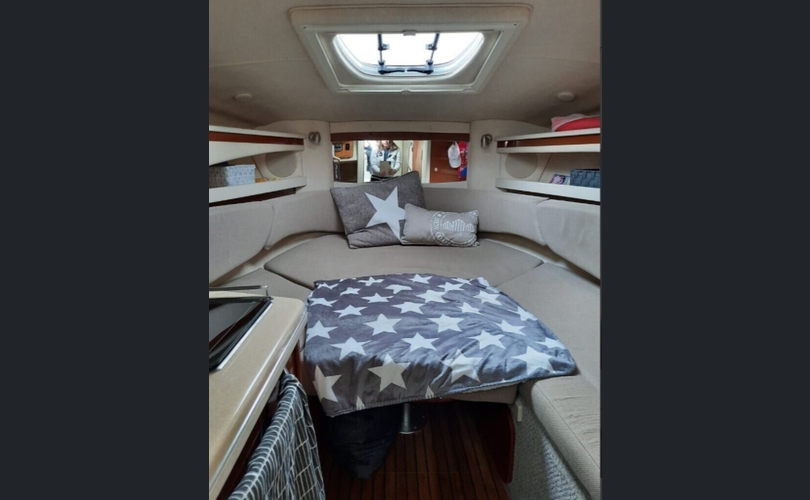 Sea Ray Sundancer 275-kuva-10